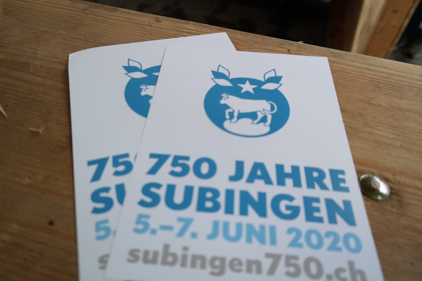 Bild (6)